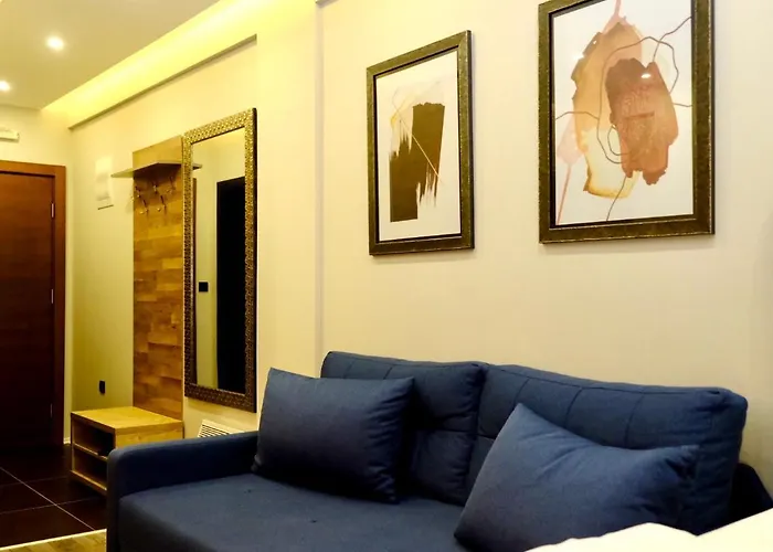 Apartament Milmari Premier 13 *