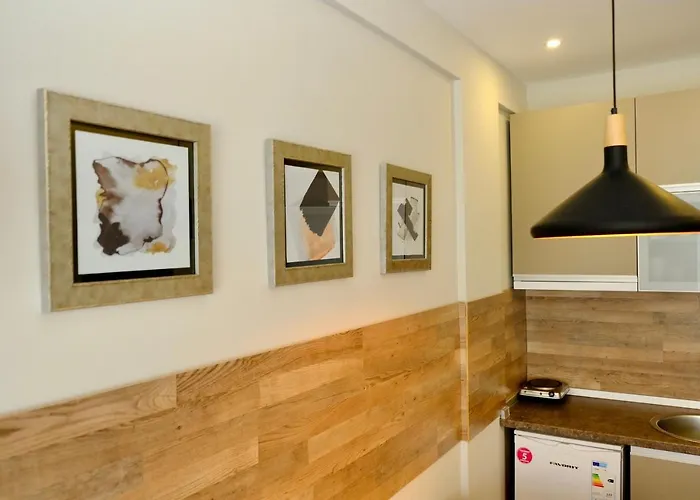 Apartament Milmari Premier 13